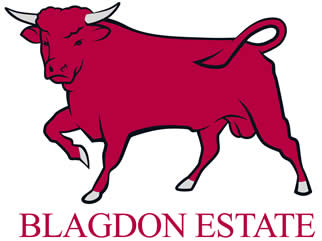 Blagdon Estates